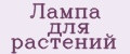 Аналитика бренда Лампа для растений на Wildberries