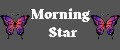 MORNING STAR