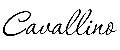 CAVALLINO