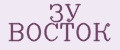 ЗУ ВОСТОК