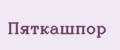 Аналитика бренда Пяткашпор на Wildberries