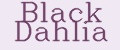 Black Dahlia