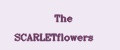 The SCARLETflowers