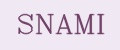 SNAMI