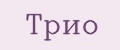 Аналитика бренда Трио на Wildberries