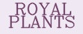 ROYAL PLANTS