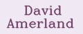 David Amerland