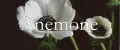 Anemone