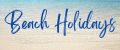 Аналитика бренда Beach holidays на Wildberries