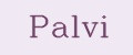 Palvi