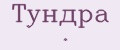 Тундра .