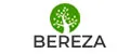 Bereza