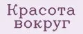 Аналитика бренда красота вокруг на Wildberries