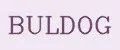 Buldog
