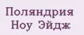 Поляндрия Ноу Эйдж
