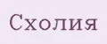 Схолия