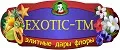 EXOTIC-TM