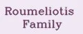 Аналитика бренда Roumeliotis Family на Wildberries