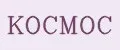 KOCMOC