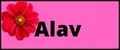Alav