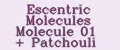 Escentric Molecules Molecule 01 + Patchouli
