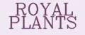 ROYAL PLANTS