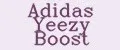 Adidas Yeezy Boost