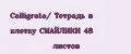 Calligrata/ Тетрадь в клетку СМАЙЛИКИ 48 листов