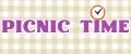 picnic time