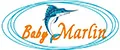 Baby Marlin