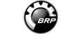 Brp