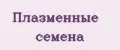 плазменные семена
