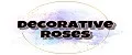 Decorative Roses