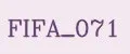 FIFA_071