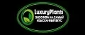 LuxuryPlants