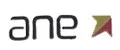 ANE Toys