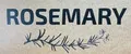 Rosemary