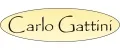 Carlo Gattini