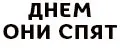 Днем они спят