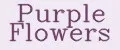 Purple Flowers