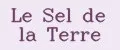 Le Sel de la Terre