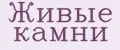Аналитика бренда Живые камни на Wildberries