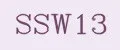 SSW13
