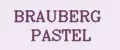 BRAUBERG PASTEL