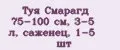 Туя Смарагд 75-100 см, 3-5 л, саженец, 1-5 шт