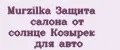 Murzilka Защита салона от солнце Козырек для авто
