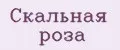 Скальная роза