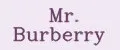 Mr. Burberry
