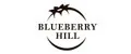 BLUEBERRY HILL