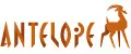 Antelope